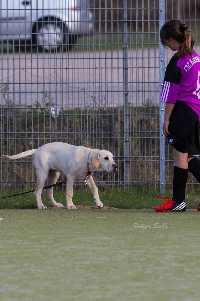 Bild 97 - D-Juniorinnen FSC Kaltenkirchen - SV Wahlstedt : Ergebnis: 3:1